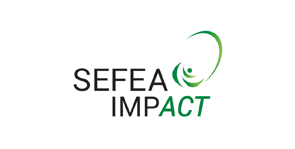 Call for Italy - Partner